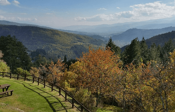 Peaceful atmosphere surrounded by ancient forests